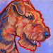 airedale terrier