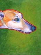 Greyhound on Green