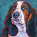 basset hound portrait