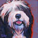 bearded collie art