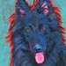 belgian shepherd art