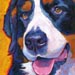 bernese mt dog painting