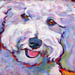 bichon dog painting