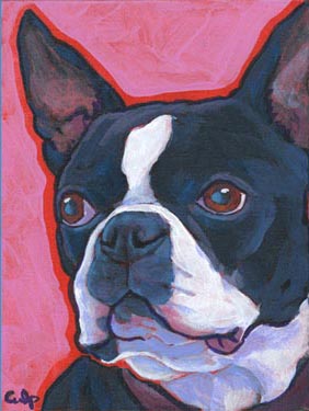 boston terrier painting