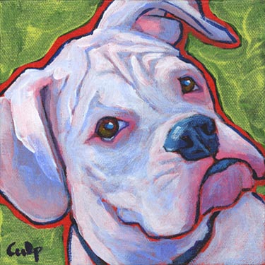 white boxer painting