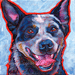 Australian cattle dog art