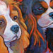 cavailier spaniel pair