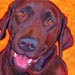 chocolate lab painting