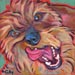 dachshund dog painting