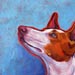 ibizan hound