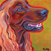 irish setter portrait painting