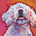 lagotto painting