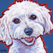 maltese dog art