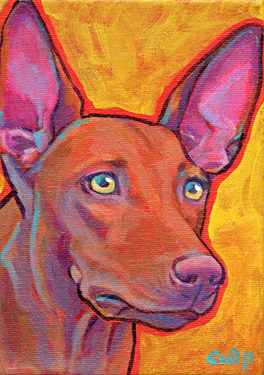 pharaoh hound dog painting