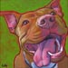pit bull