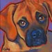puggle dog painting