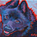 schipperke dog painting
